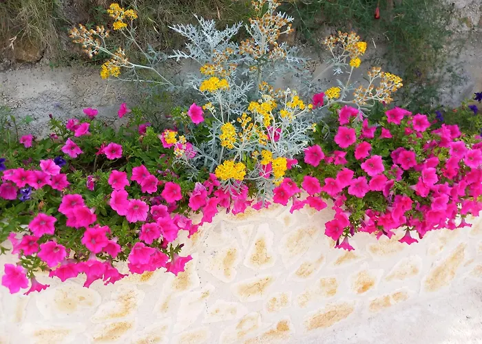 Lejlighed Cherry 1 Vis